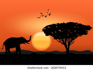 silueta imagen elefante negro con caminar en el bosque con fondo de montaña y puesta de sol vectores vectores vectores vectores vespertinos Ilustración