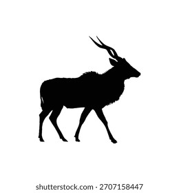 silhouette image of a black kudu
