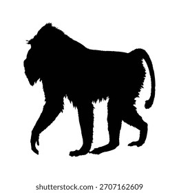 Silhouettenbild eines schwarzen Mandrills
