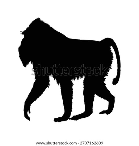 silhouette image of a black mandrill