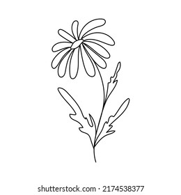 Silhouette image of chamomile. Vector illustration of a flower. Flowers and plants.