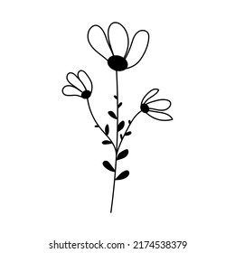 Silhouette image of chamomile. Vector illustration of a flower. Flowers and plants.