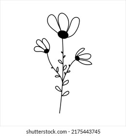 Imagen de silueta de la camomila. Ilustración vectorial de una flor. Flores y plantas.