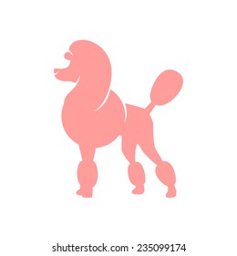 Silhouette image of poodle dog
