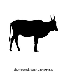 Silhouette of indian cow. Side view. Vector illustration isolated on black background