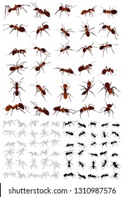 silhouette of insect ant, set