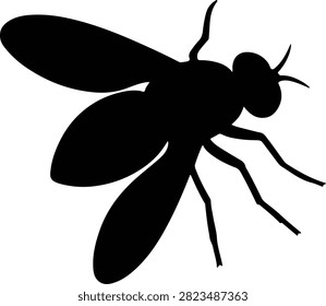 Silhouette insect fly detailed vector Illustrator