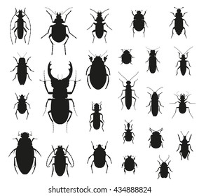 Silhouette insect set isolated on the white. Vector illustration.