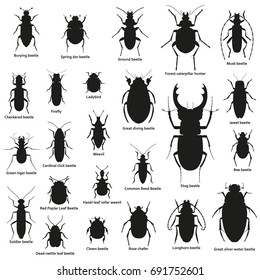 Silhouette Insect Set Isolated On The White. Vector Illustration.