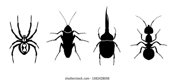 silhouette of insects. Spider, cockroach, beetle and ant. Beetles icons set.