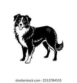 Silhueta do projeto inteligente do clipart do vetor do cão pastor australiano