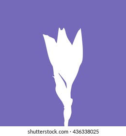Silhouette of iris flower on blue background
