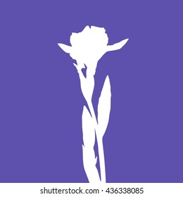 Silhouette of iris flower on blue background