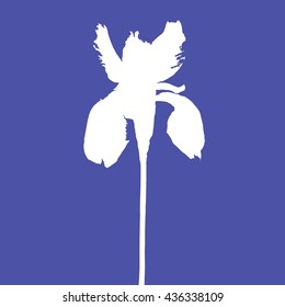 Silhouette of iris flower on blue background