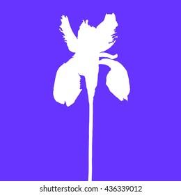 Silhouette of iris flower on blue background