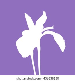 Silhouette of iris flower on purple background