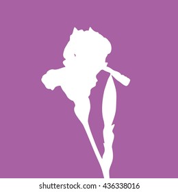 Silhouette of iris flower on violet background