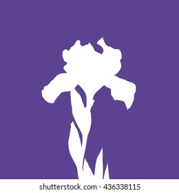 Silhouette of iris flower on violet background