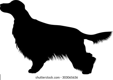 Silhouette Of Irish Setter