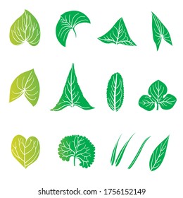 silhouette isolated leaves of plants without outline green yellow gradient