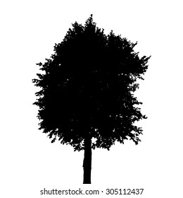 Silhouette Isolated on White Background. Vector Illustration. EPS10