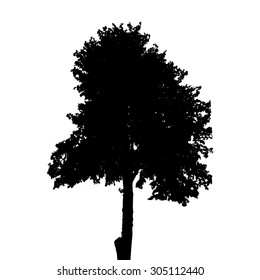 Silhouette Isolated on White Background. Vector Illustration. EPS10