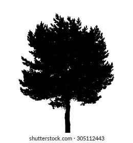 Silhouette Isolated on White Background. Vector Illustration. EPS10