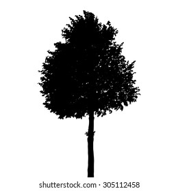 Silhouette Isolated on White Background. Vector Illustration. EPS10