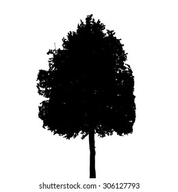 Silhouette Isolated on White Background. Vector Illustration. EPS10