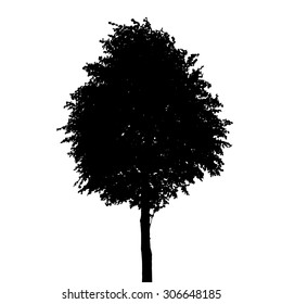Silhouette Isolated on White Background. Vector Illustration. EPS10