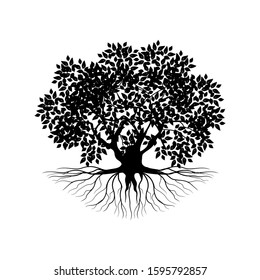 Silhouette of an isolated rooted mangrove tree on a white background, vector illustration