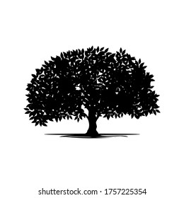 Silhouette of an isolated rooted mangrove tree on a white background, vector illustration