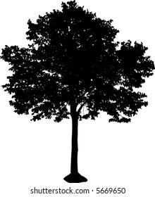 silhouette of isolated tree