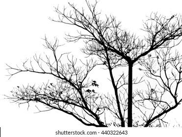 Silhouette Isolated tree on White Background. Vector Illustration. EPS10