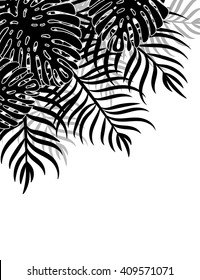 Silhouette Isolated tropical leaves on a white background. Natural Tropical Background. 
