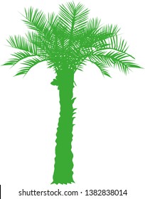 silhouette of isolated vector single date trees
