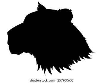 silhouette of jaguar