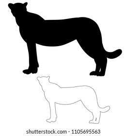 silhouette of jaguar, cheetah