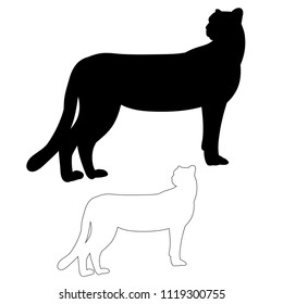 silhouette of jaguar, cheetah