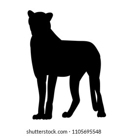 silhouette of jaguar, cheetah, icon