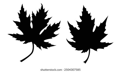 Silhouette of Japanese Maple Leaves. Plants and trees concept vector art
