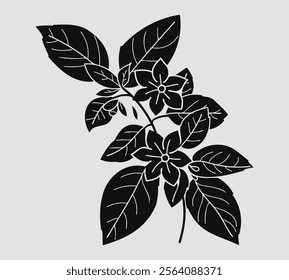 Silhouette of jasmine flowers with leaves and branches, perfect for floral designs, botanical illustrations, and nature-themed projects.