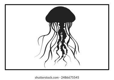 Silhouette of jellyfish, Jellyfish design illustration