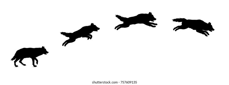 Silhouette of jumping wolf.