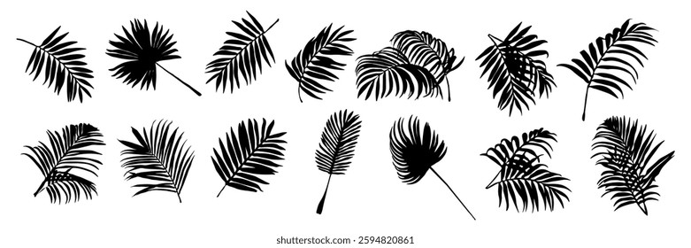 Silhouette jungle leaf. Abstract black palm tropical rainforest leaves. Decorative plants. Graphic foliage silhouettes and elements for design isolated on white background. Vector set