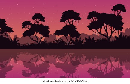 Silhouette of jungle with reflection at night