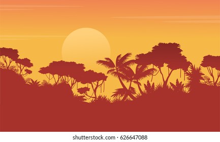 Silhouette jungle at sunrise scenery