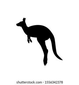 Silhouette of kangaroo. Animal australian wildlife. Vector illustrator