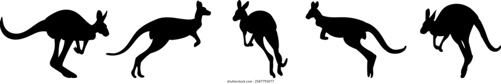 silhouette kangaroo jumping collection on white background, vector