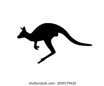 Silhouette de un canguro sobre un fondo blanco. Ilustración de diseño de vectores de clipart animal.